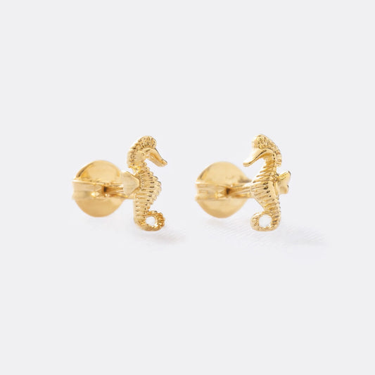 Aretes Caballito de Mar